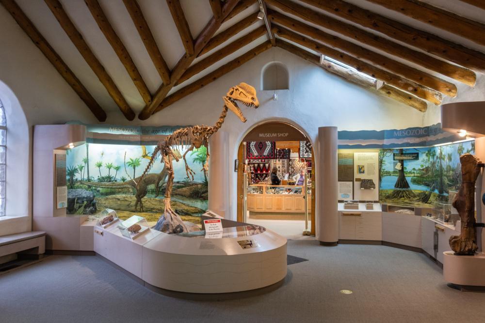 https://media-cdn.tripadvisor.com/media/attractions-content--1x-1/0b/39/b2/81.jpg
