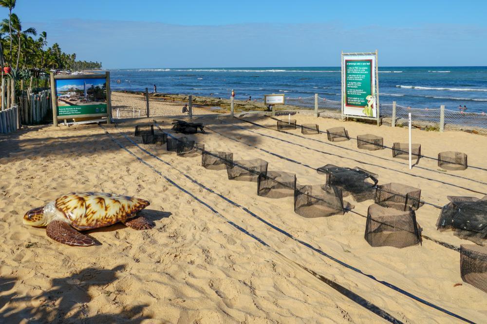 https://media-cdn.tripadvisor.com/media/attractions-content--1x-1/0b/39/bf/22.jpg