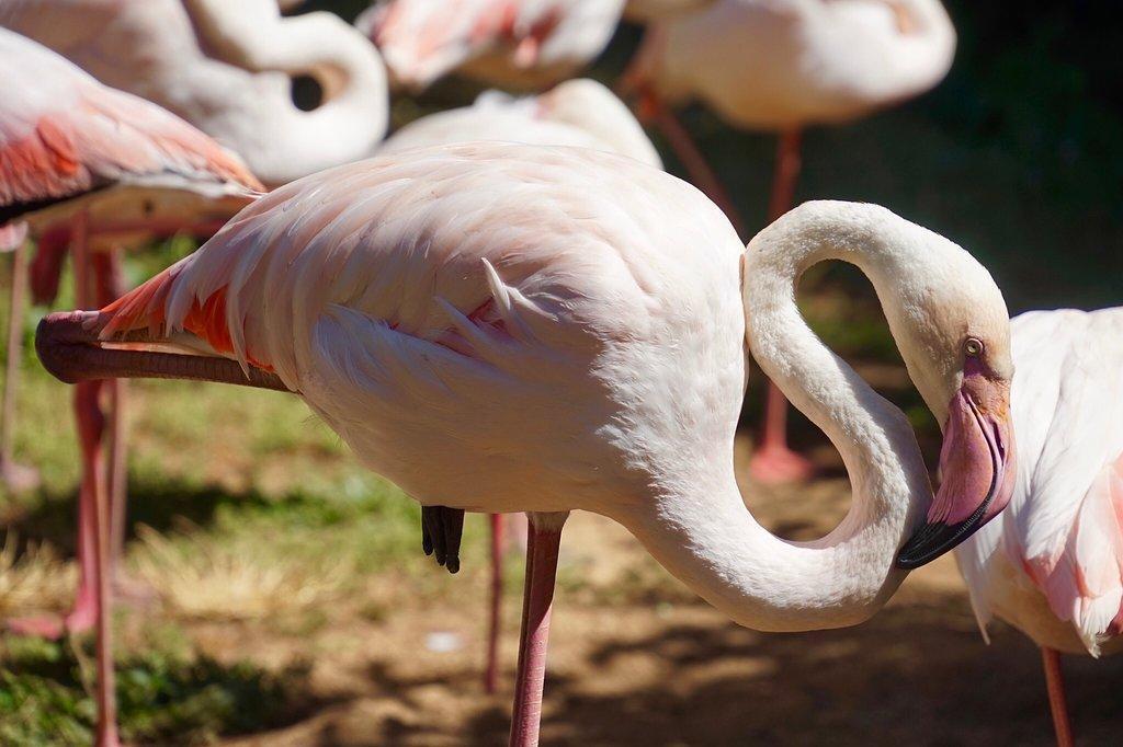 https://media-cdn.tripadvisor.com/media/attractions-content--1x-1/0b/39/bf/31.jpg