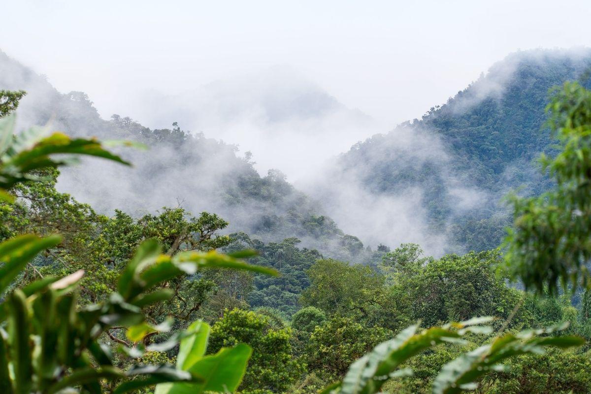 https://media-cdn.tripadvisor.com/media/attractions-content--1x-1/0b/df/13/a8.jpg