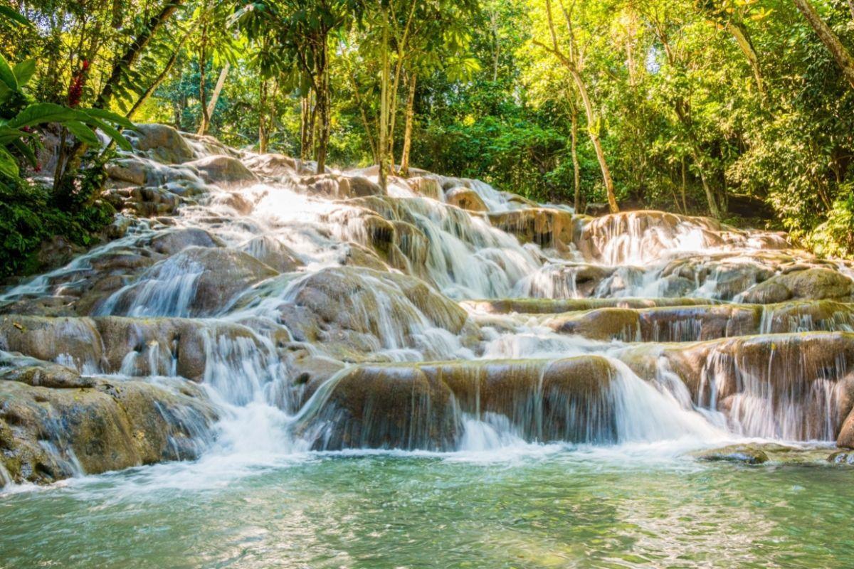 https://media-cdn.tripadvisor.com/media/attractions-content--1x-1/0b/df/d0/e6.jpg