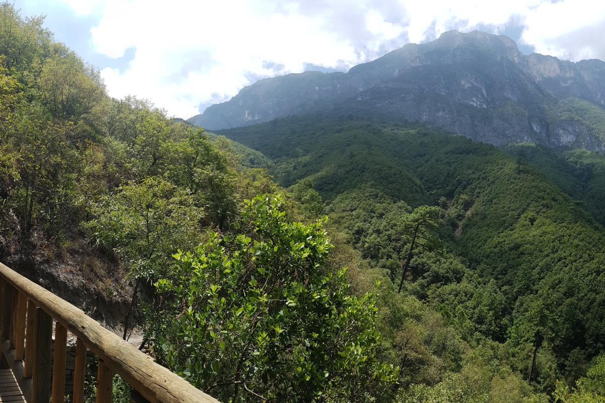 https://media-cdn.tripadvisor.com/media/attractions-content--1x-1/0b/fa/78/49.jpg