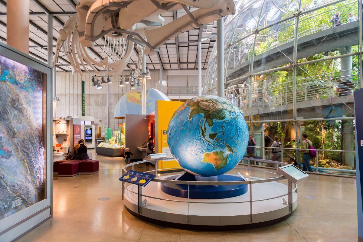 https://media-cdn.tripadvisor.com/media/attractions-content--1x-1/12/33/66/7a.jpg