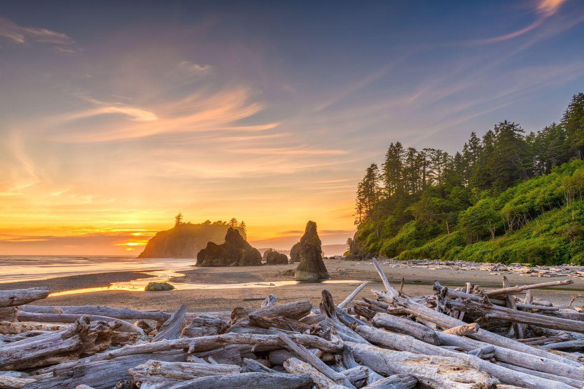 https://media-cdn.tripadvisor.com/media/attractions-content--1x-1/12/33/9d/bc.jpg