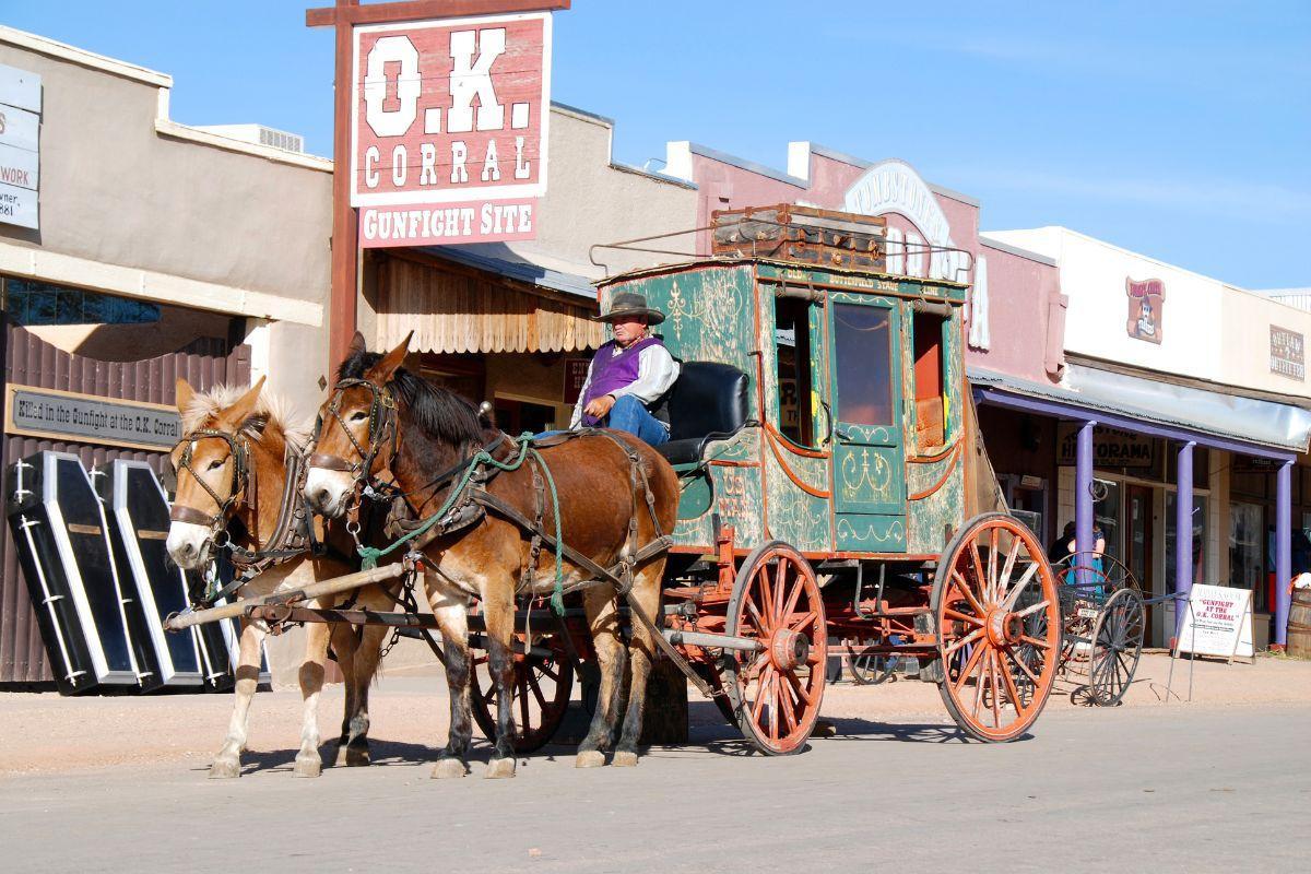 https://media-cdn.tripadvisor.com/media/attractions-content--1x-1/12/3f/3c/05.jpg