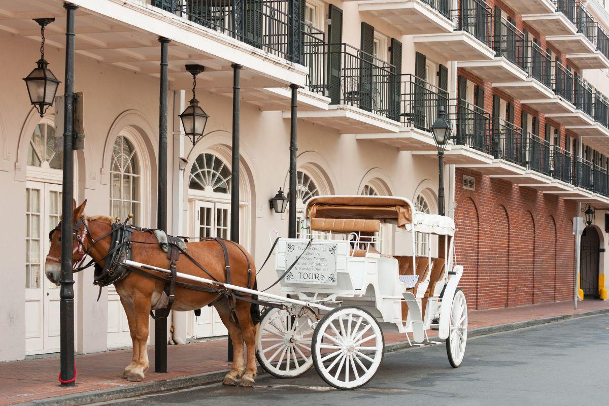 https://media-cdn.tripadvisor.com/media/attractions-content--1x-1/12/3f/5d/e3.jpg