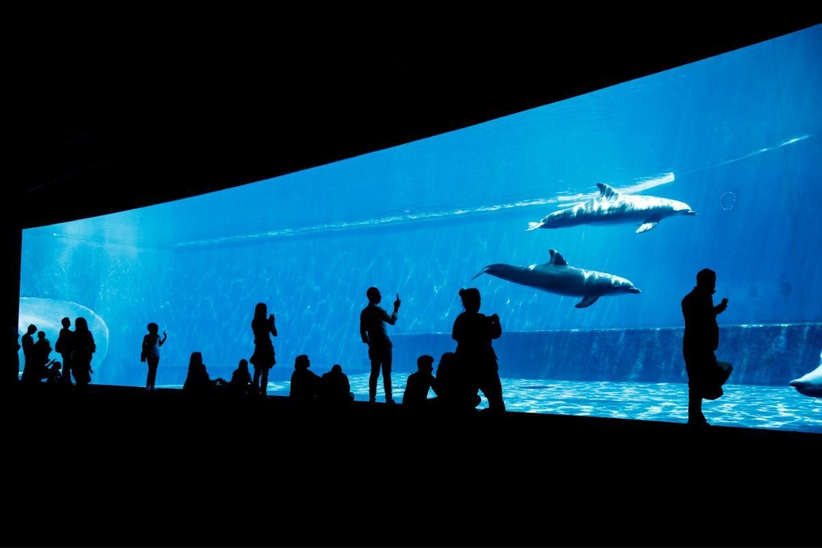 https://media-cdn.tripadvisor.com/media/attractions-content--1x-1/12/d7/1b/f0.jpg