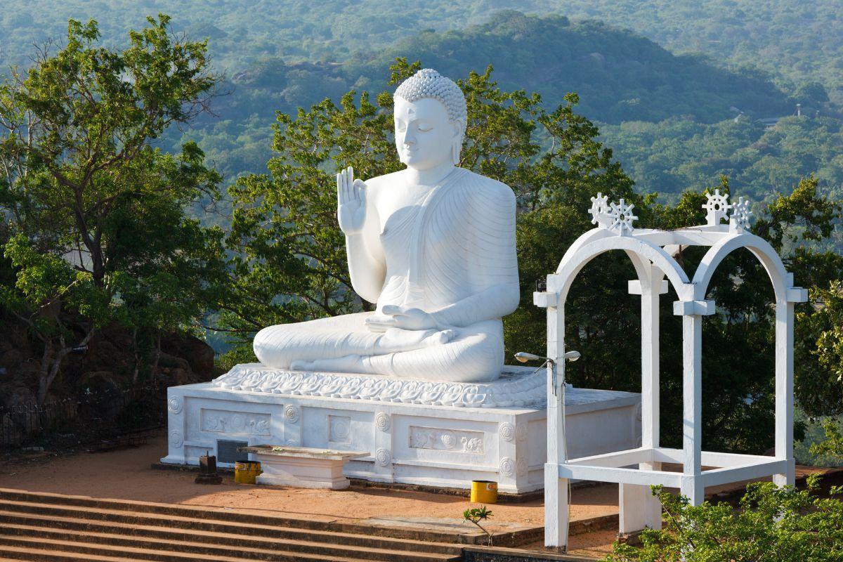 https://media-cdn.tripadvisor.com/media/attractions-content--1x-1/12/e7/1a/1d.jpg