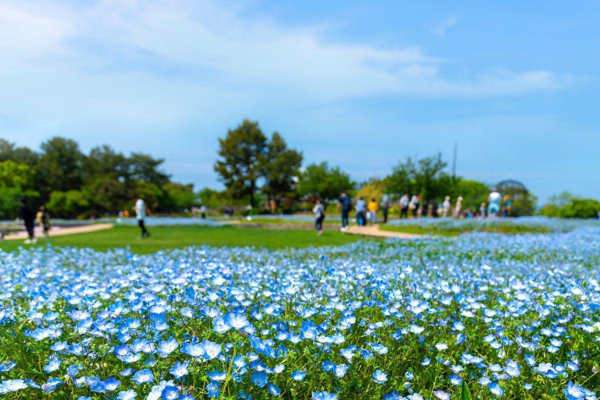 https://media-cdn.tripadvisor.com/media/attractions-content--1x-1/12/e8/c1/b9.jpg