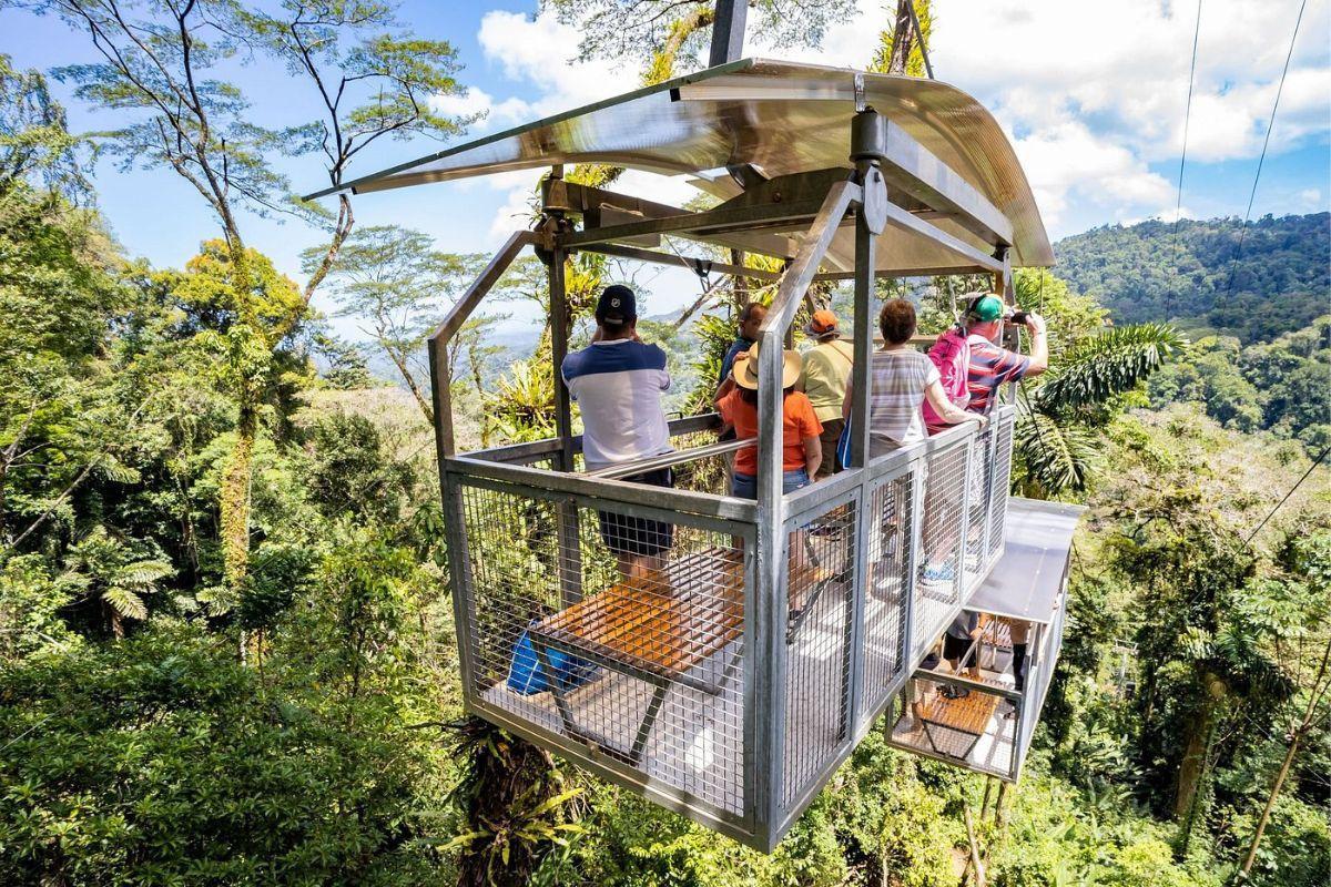 https://media-cdn.tripadvisor.com/media/attractions-content--1x-1/12/e9/49/3a.jpg