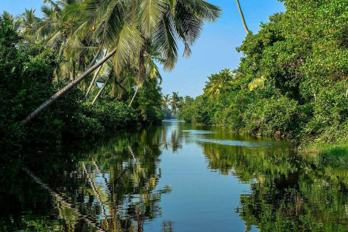 https://media-cdn.tripadvisor.com/media/attractions-content--1x-1/13/06/5f/de.jpg