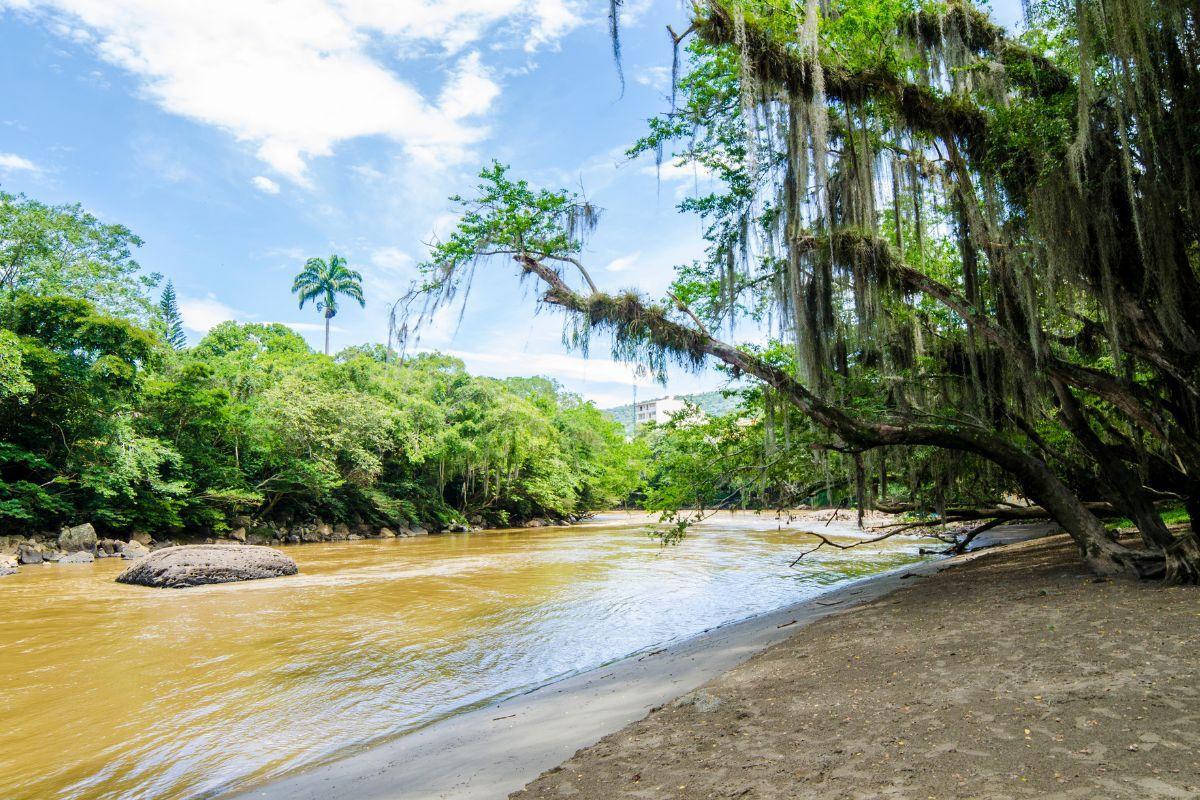 https://media-cdn.tripadvisor.com/media/attractions-content--1x-1/13/16/81/b6.jpg
