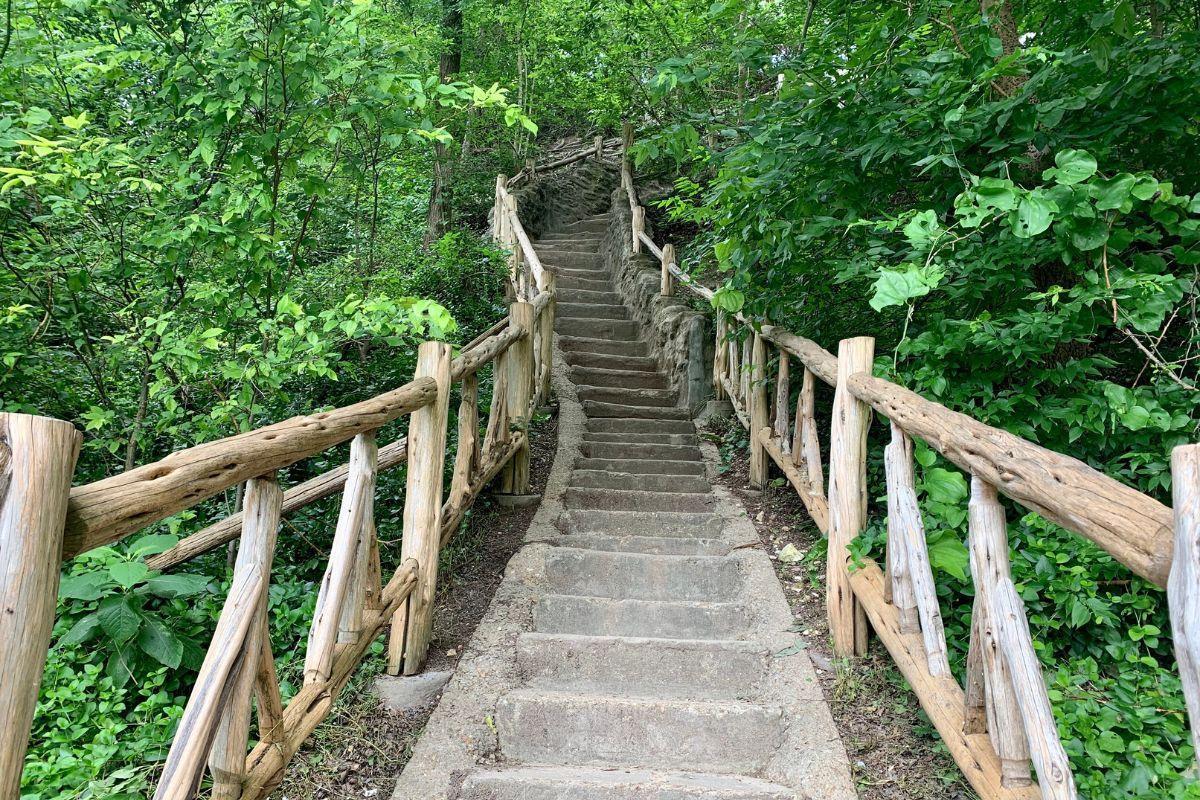 https://media-cdn.tripadvisor.com/media/attractions-content--1x-1/13/17/9b/a3.jpg