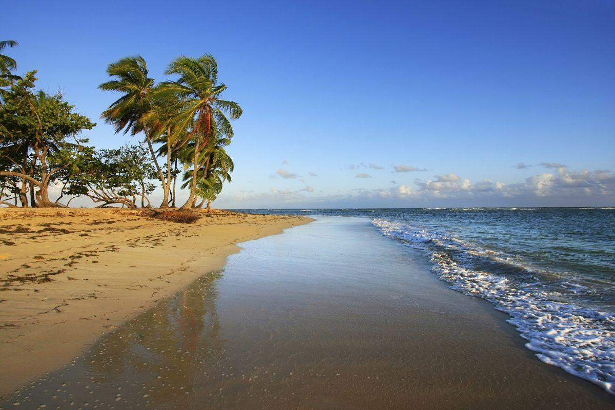 https://media-cdn.tripadvisor.com/media/attractions-content--1x-1/13/2a/d2/34.jpg