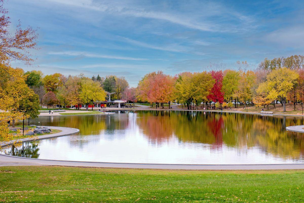 https://media-cdn.tripadvisor.com/media/attractions-content--1x-1/13/2b/43/5b.jpg