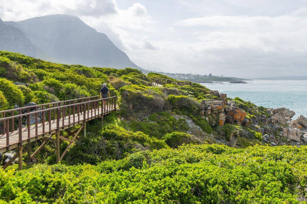 https://media-cdn.tripadvisor.com/media/attractions-content--1x-1/13/b8/fb/77.jpg