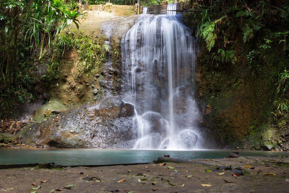https://media-cdn.tripadvisor.com/media/attractions-content--1x-1/13/c2/33/f3.jpg