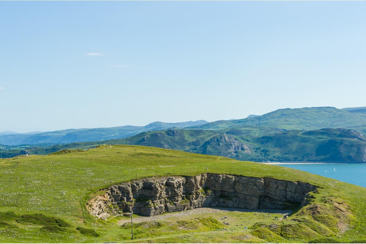 https://media-cdn.tripadvisor.com/media/attractions-content--1x-1/13/de/f4/41.jpg