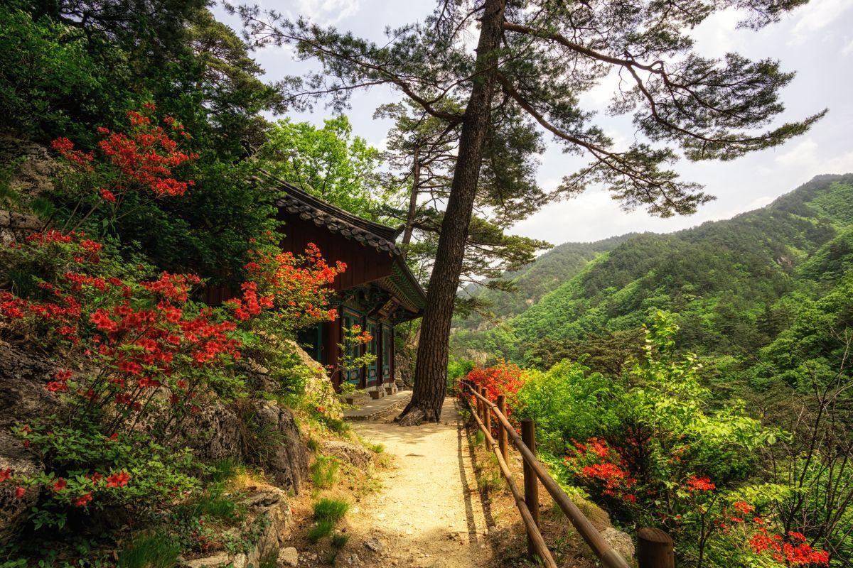 https://media-cdn.tripadvisor.com/media/attractions-content--1x-1/14/3c/85/b2.jpg