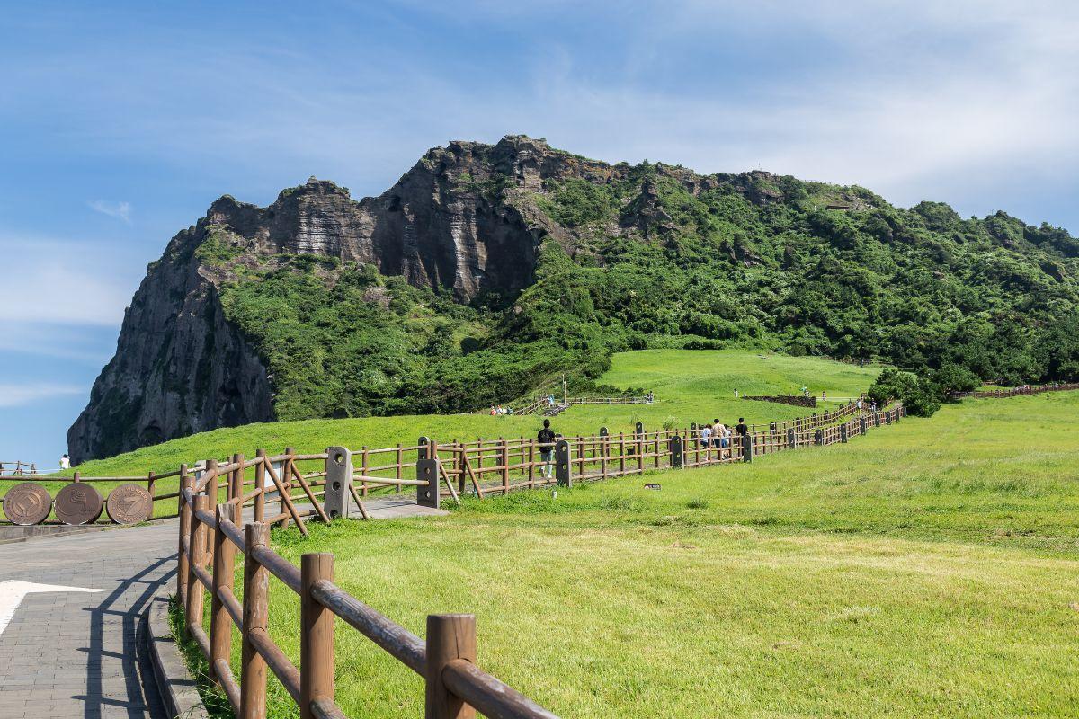 https://media-cdn.tripadvisor.com/media/attractions-content--1x-1/14/43/f9/7b.jpg