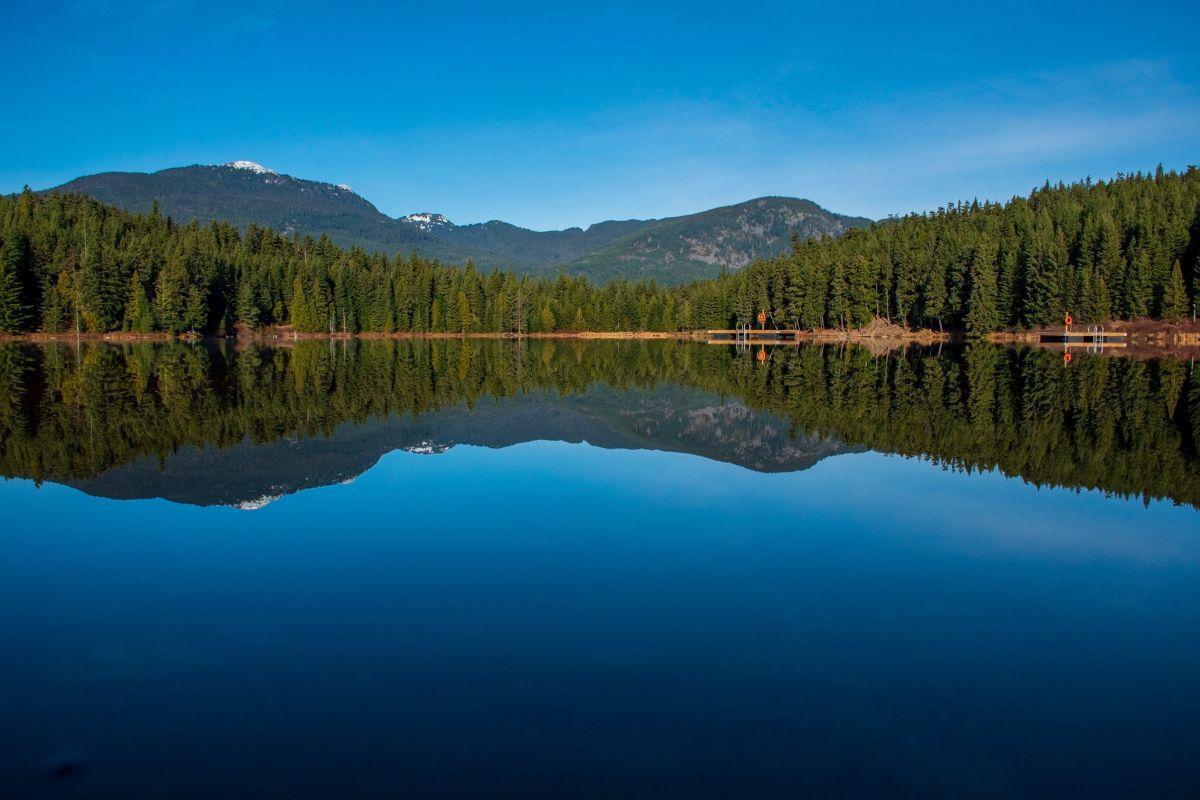 https://media-cdn.tripadvisor.com/media/attractions-content--1x-1/14/5f/f7/91.jpg