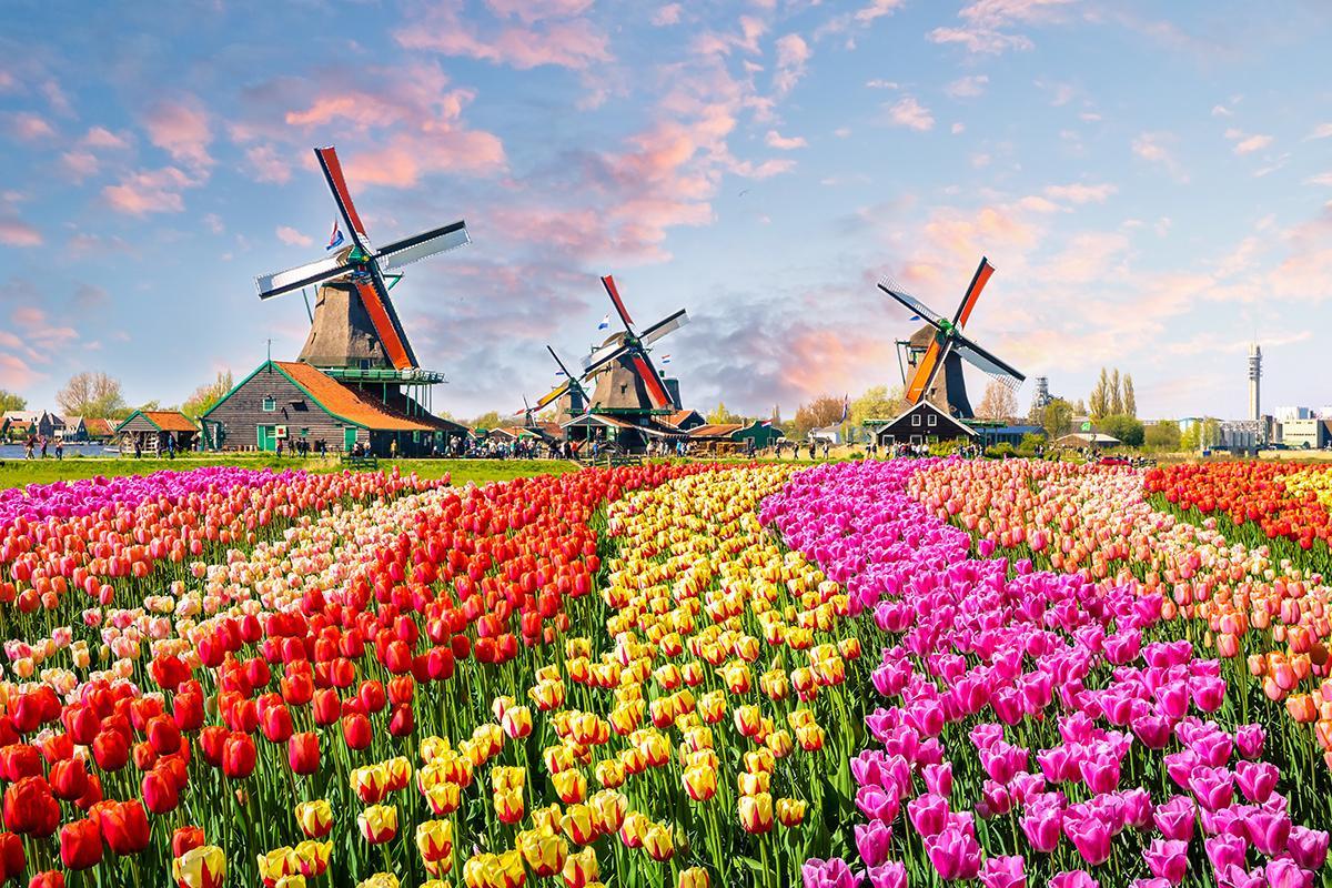 https://media-cdn.tripadvisor.com/media/attractions-content--1x-1/14/b9/3c/9f.jpg