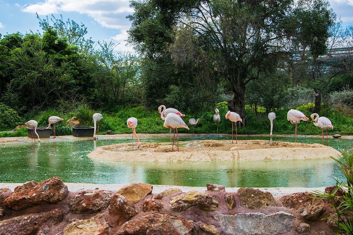 https://media-cdn.tripadvisor.com/media/attractions-content--1x-1/14/be/4f/27.jpg