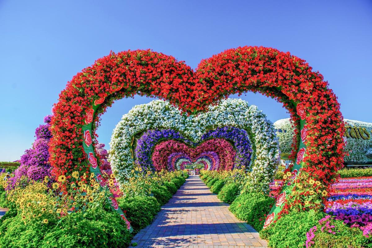https://media-cdn.tripadvisor.com/media/attractions-content--1x-1/15/10/48/7b.jpg
