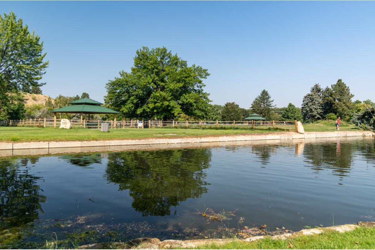 https://media-cdn.tripadvisor.com/media/attractions-content--1x-1/15/31/ad/07.jpg
