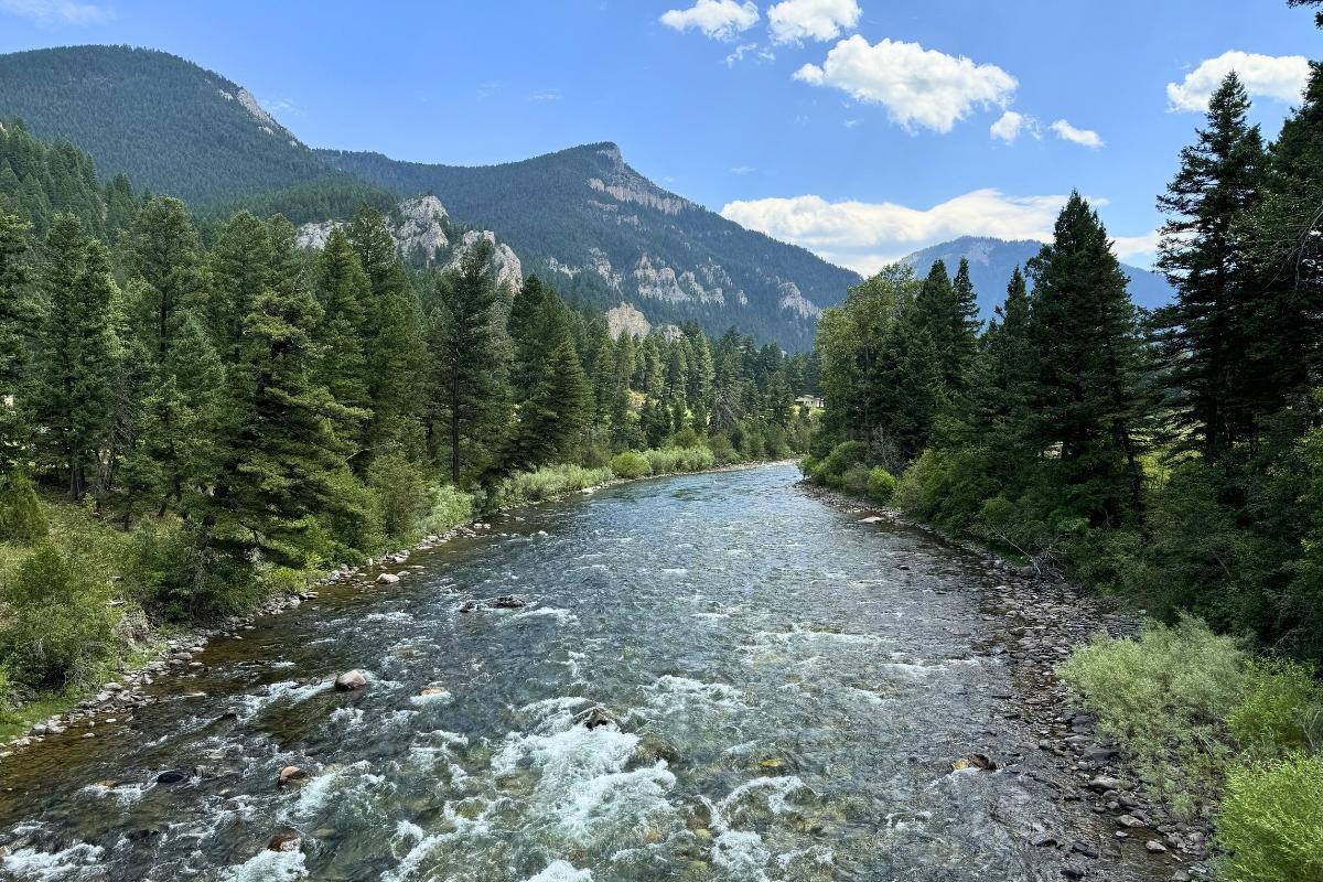 https://media-cdn.tripadvisor.com/media/attractions-content--1x-1/15/4f/51/81.jpg