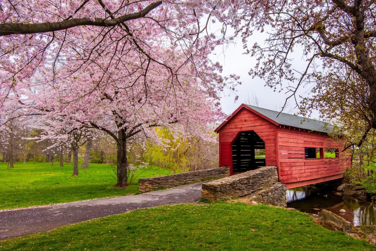 https://media-cdn.tripadvisor.com/media/attractions-content--1x-1/15/6f/c8/b4.jpg