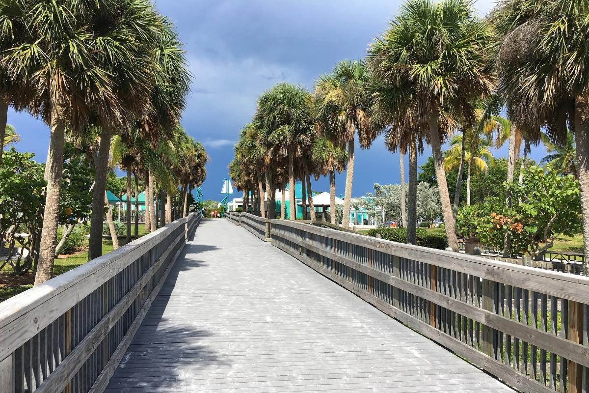 https://media-cdn.tripadvisor.com/media/attractions-content--1x-1/15/72/c8/82.jpg