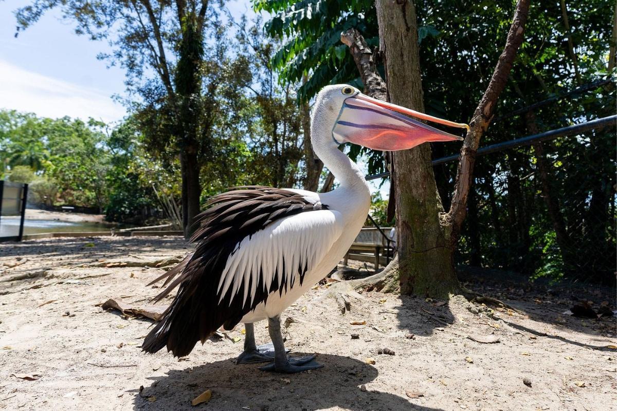 https://media-cdn.tripadvisor.com/media/attractions-content--1x-1/15/73/7e/d7.jpg