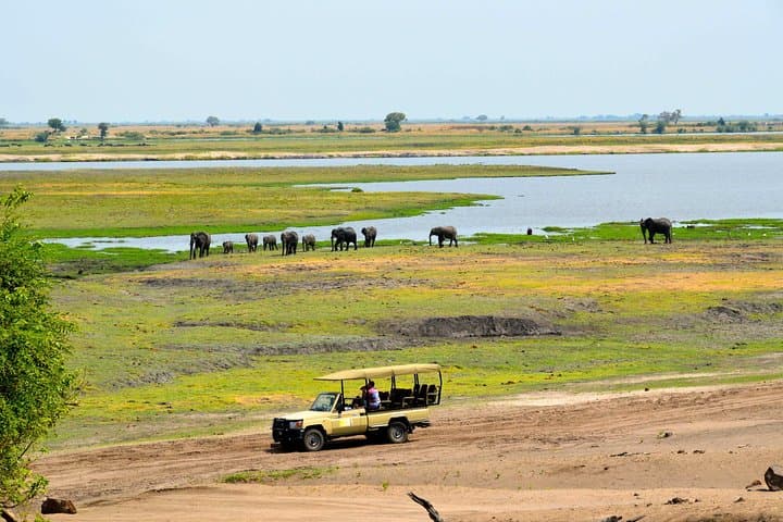 Chobe National Park Game Drive, Botswana
