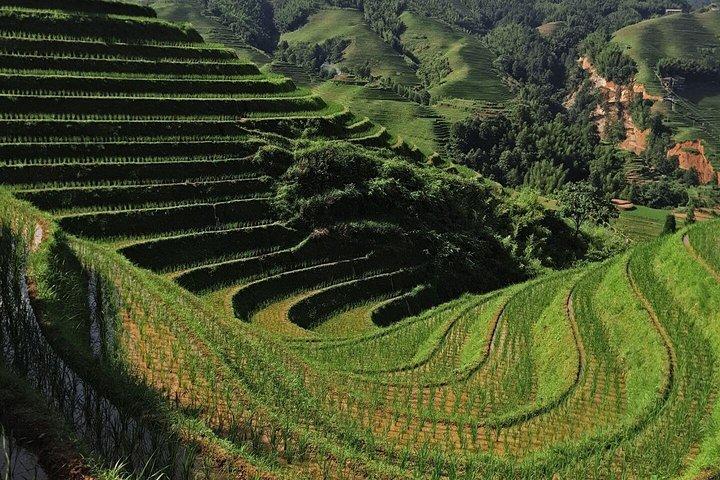 Private Custom Tour: 2 day Longji rice terraces private tour