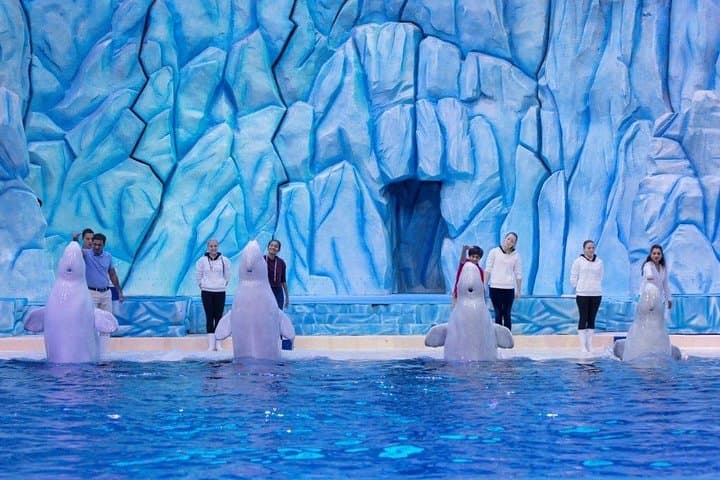 E-Ticket: Zhuhai Chimelong Ocean Kingdom, Circus & Penguin Hotel 1-night Coupon