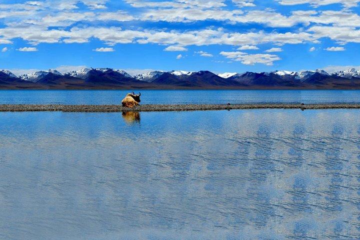 5-Night Tibet: Lhasa and Namtso Lake with Travel Permit