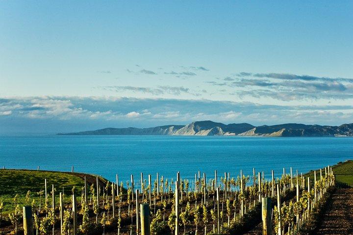 Picton Cruise Ship Shore Excursion Marlborough Wine Tour