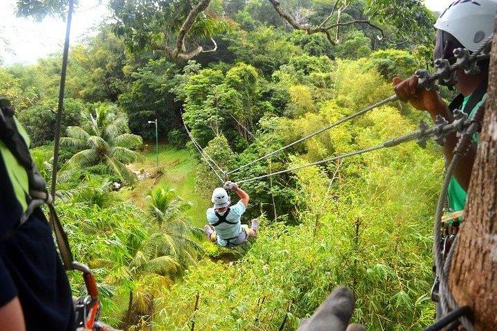 Trinidad Zipline Adventure