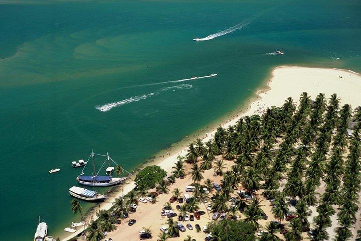 Full Day Trip to Gunga beach from Maceió