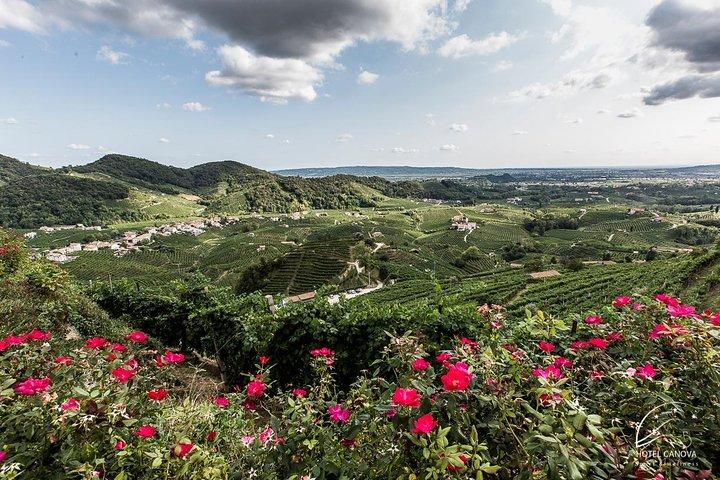 Private Prosecco Tour, with a certified Sommelier