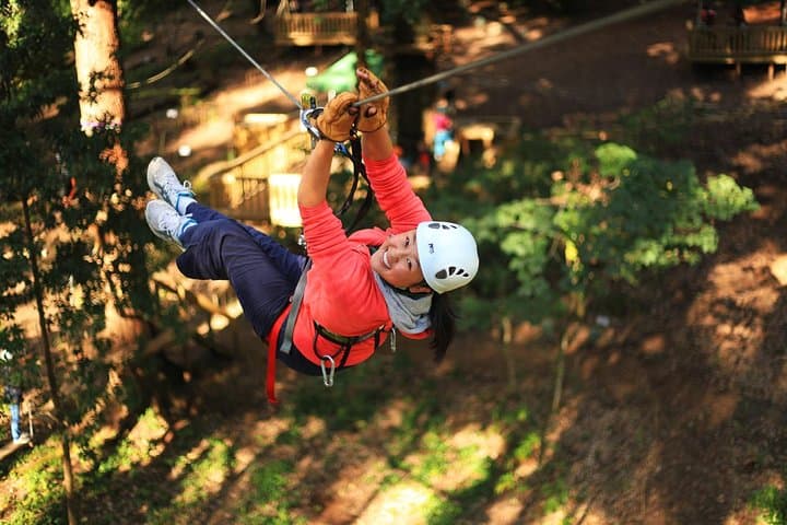 Lane Poole Park Dwellingup - Tree Ropes Course