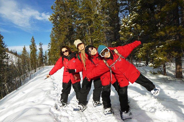 Yukon Snowshoeing Adventure | half day