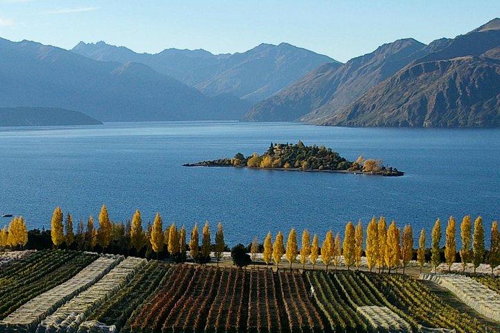 Wanaka Wine Tours - Boutique Tour
