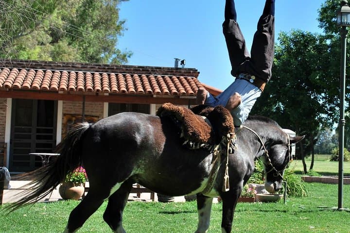 Estancia Gaucho Day at Buenos Aires