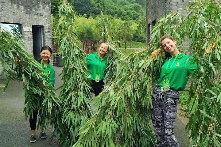 All Inclusive Wolong or Dujiangyan Panda Base Volunteering