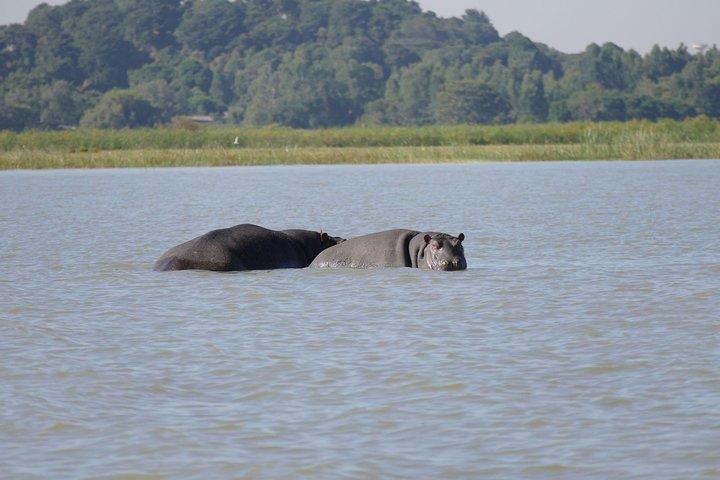 Private Guided Tours To Bahir Dar Lake Tana Monastery & Blue Nile Waterfalls