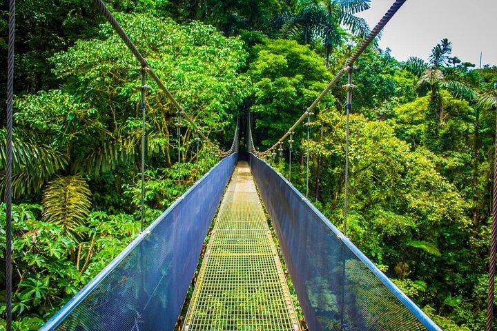 Arenal Hanging Bridges and La Fortuna Waterfall Nature Hike