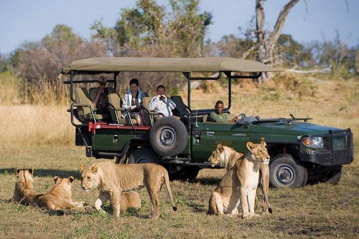 Chobe Full Day Trip From Victoria Falls