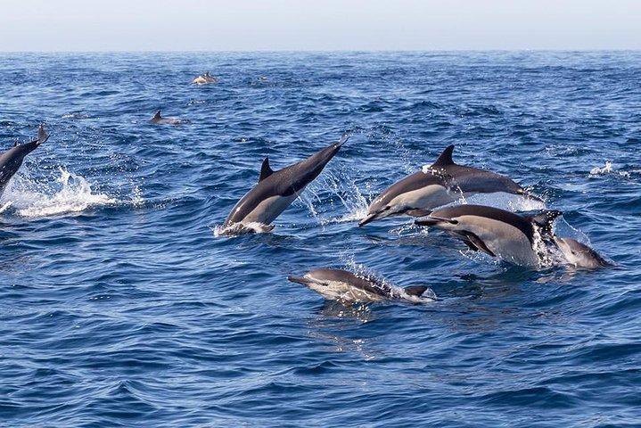 6 Days in Philippines: Cebu and Bohol